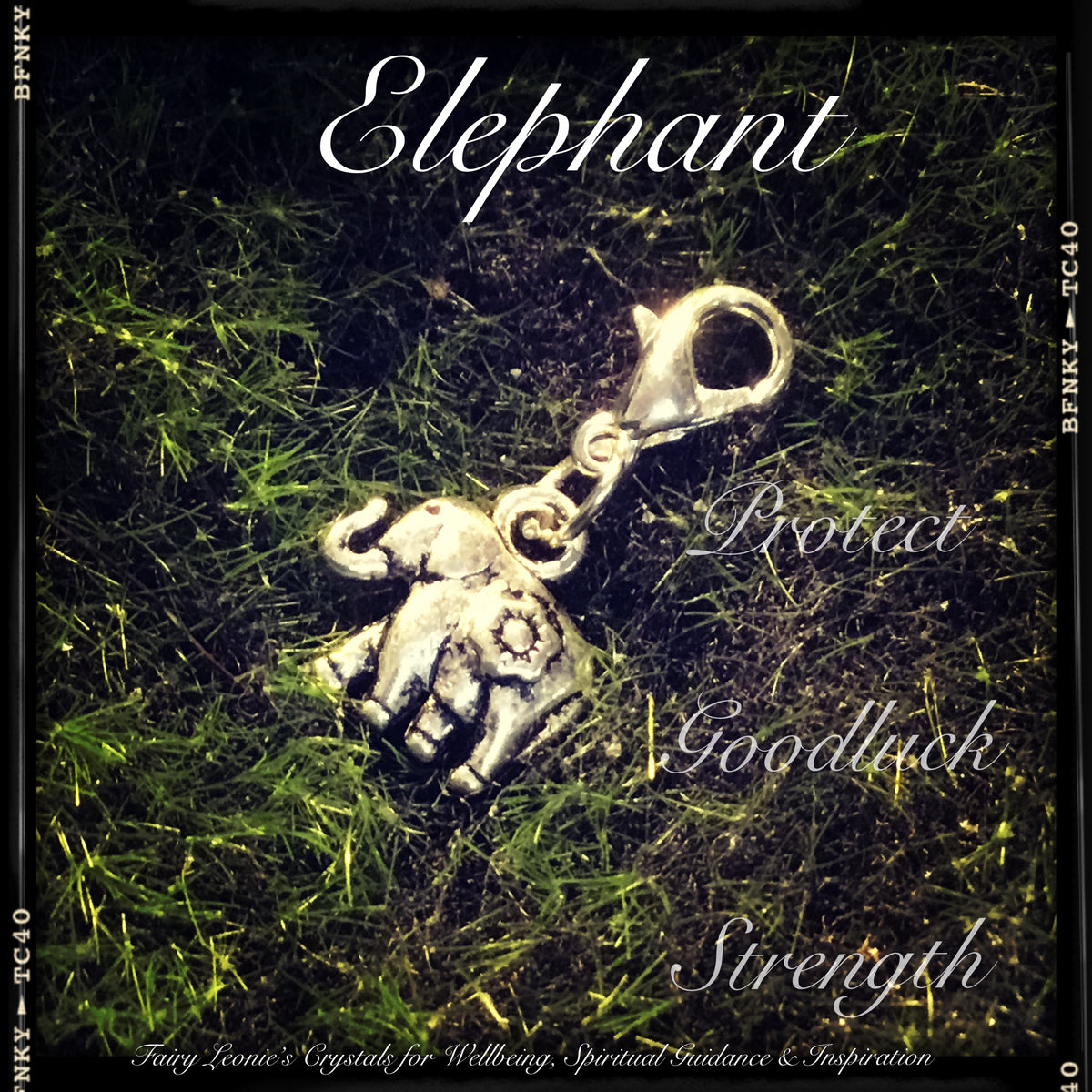 Mini Clip On Charms