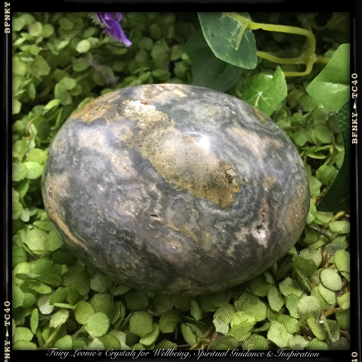 Crystals of Joy & Happiness #2 OCEAN JASPER GALETTE