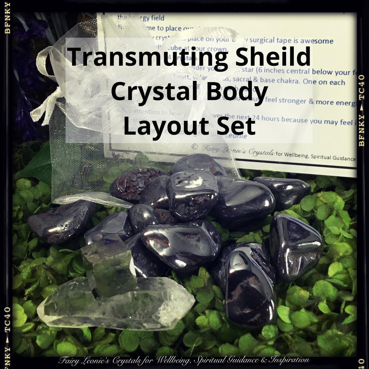 Fairy Leonie's Transmuting Shield Body Layout Deluxe Kit