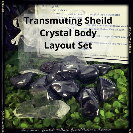 Fairy Leonie's Transmuting Shield Body Layout Deluxe Kit