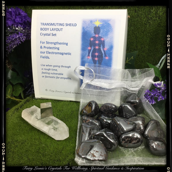 Fairy Leonie's Transmuting Shield Body Layout Deluxe Kit