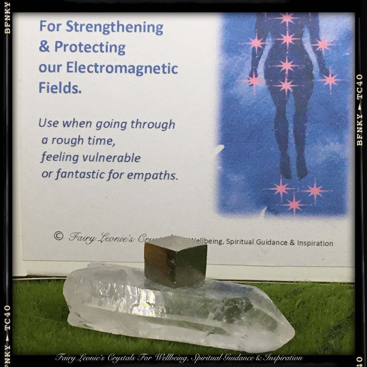 Fairy Leonie's Transmuting Shield Body Layout Deluxe Kit