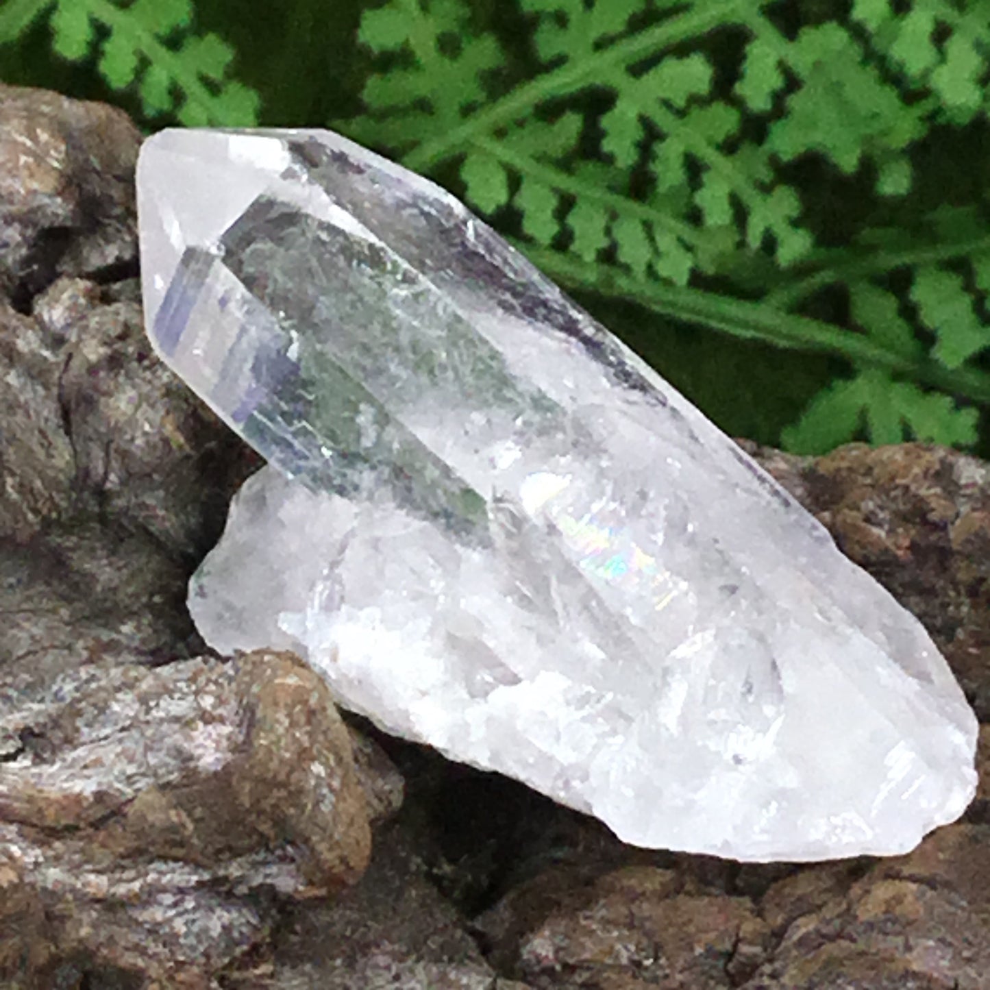UNEARTHED TREASURE. Clear Quartz Natural Point Crystal  003