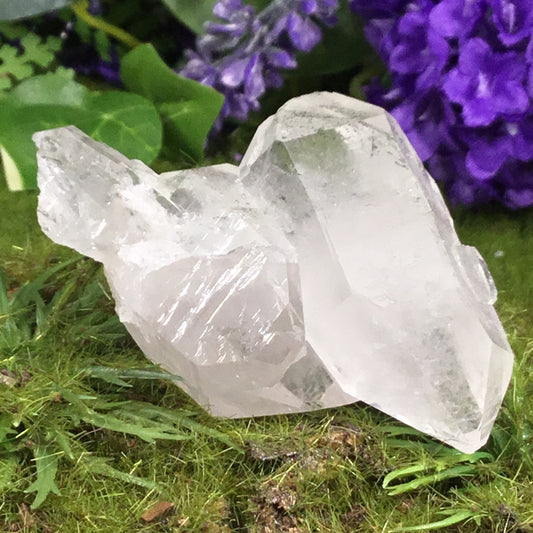 double terminated twin points with green chlorite on green background