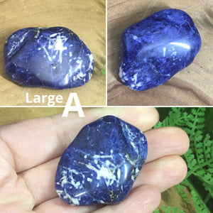 CRYSTALS FOR CONFIDENCE & COURAGE Sodalite Tumbles