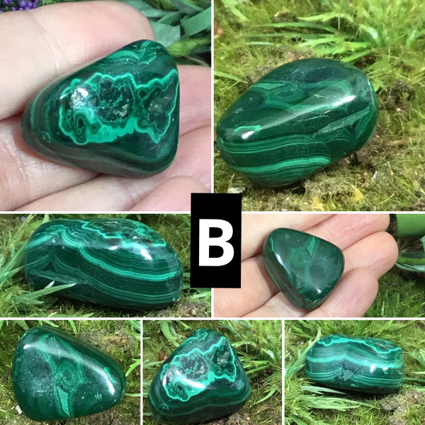 Protect and Purify - Tumbled MALACHITE Crystals
