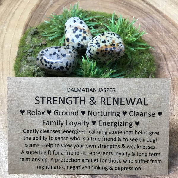 Dalmatian Jasper Tumbled Stones - strength & nurture