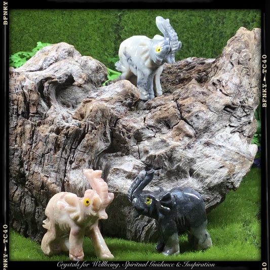 CRYSTALS FOR ABUNDANCE AND PROSPERITY. Hand carved  Elephant