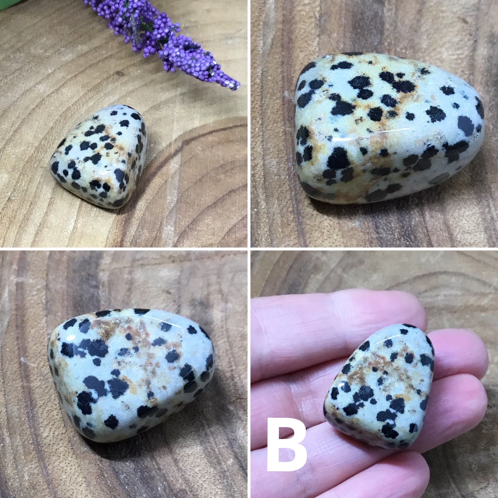 Dalmatian Jasper Tumbled Stones - strength & nurture