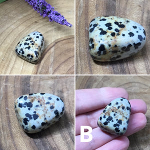 Dalmatian Jasper Tumbled Stones - strength & nurture