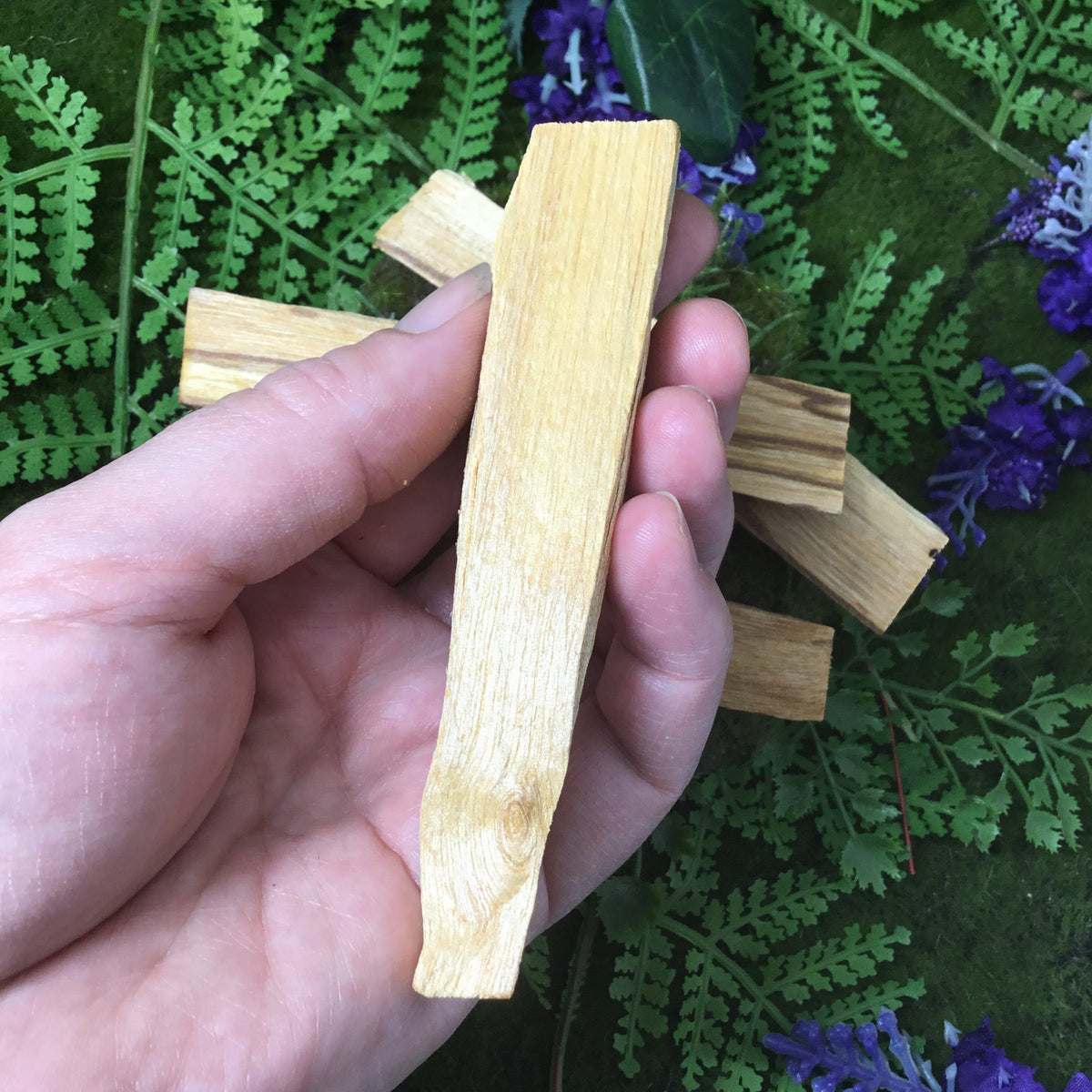 palo santo