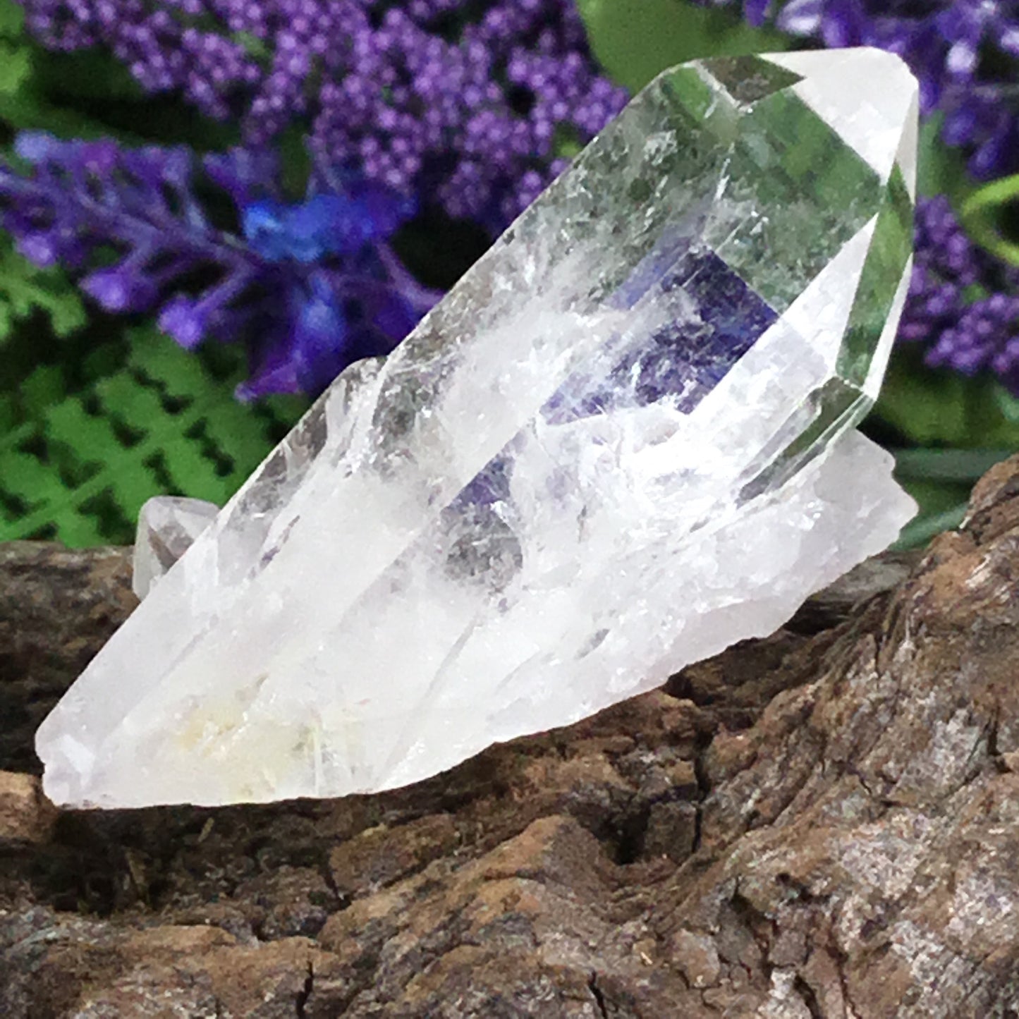 UNEARTHED TREASURE. Clear Quartz Natural Point Crystal  003