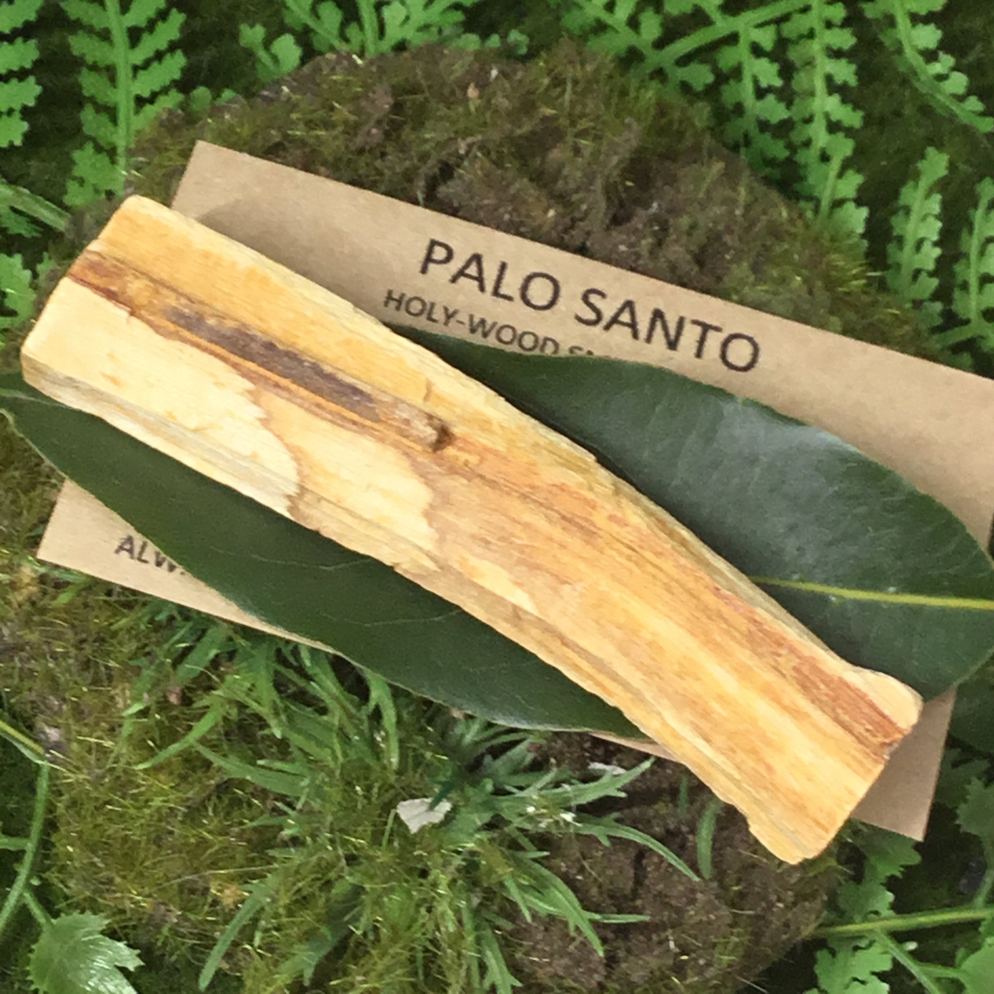 plain palo santo