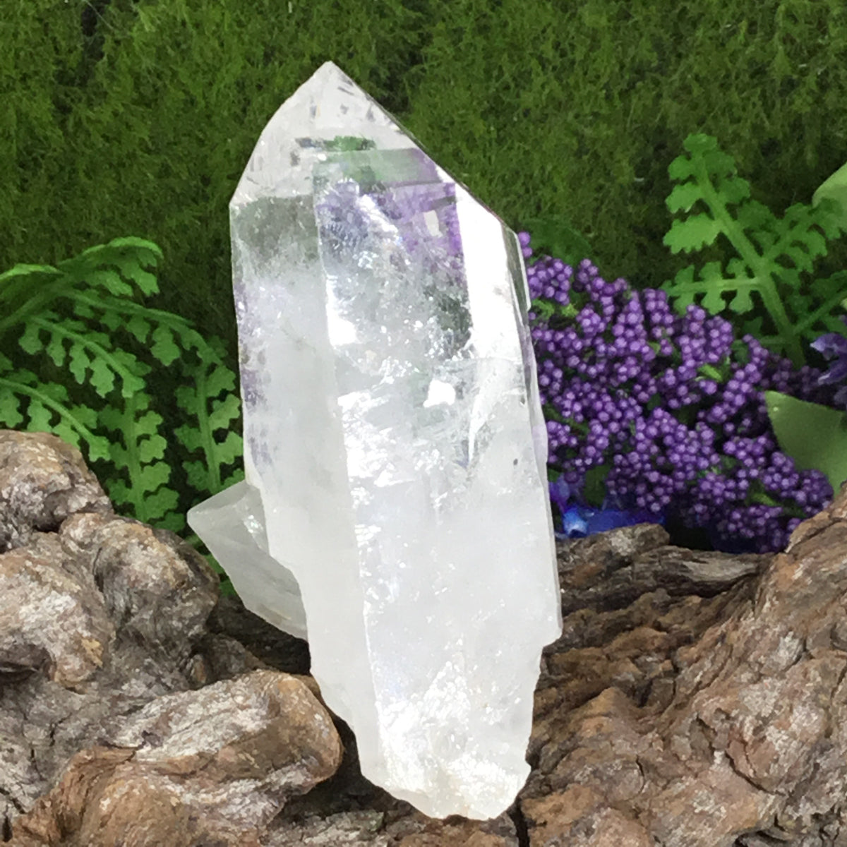 UNEARTHED TREASURE. Collectors Specimen Clear Quartz Natural Point crystal 004 by