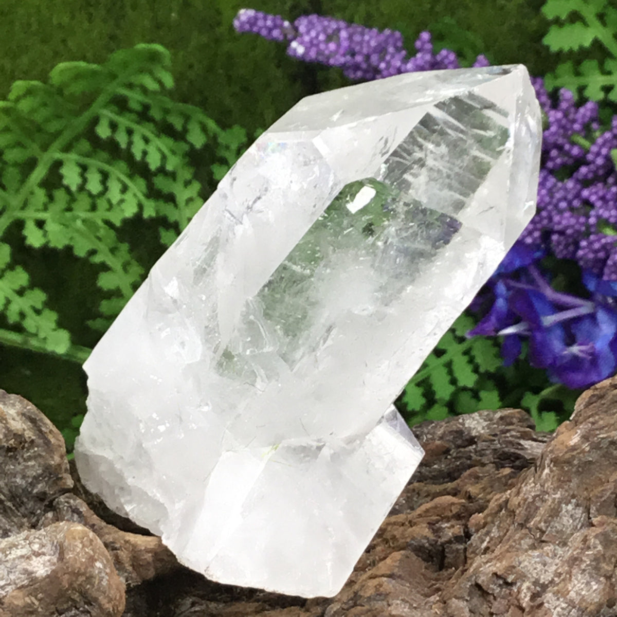 UNEARTHED TREASURE. Collectors Specimen Clear Quartz Natural Point crystal 004 by
