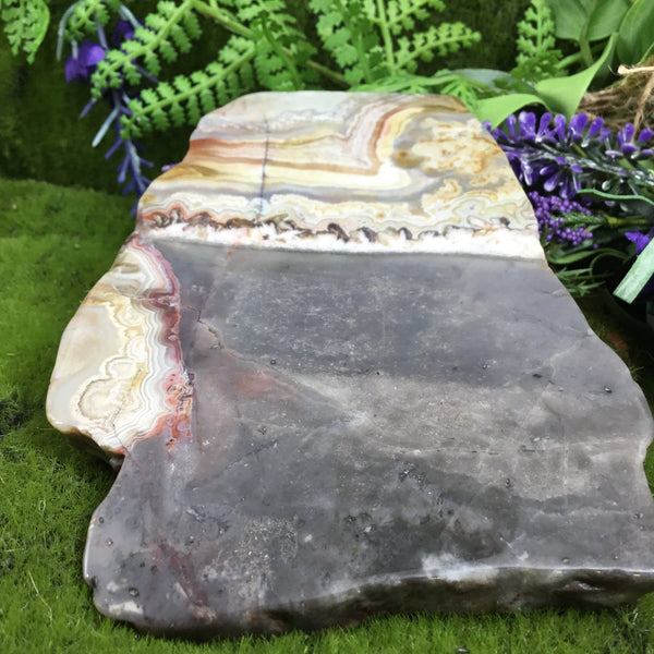 UNEARTHED TREASURE- Mexican Crazy lace Agate Altar Slice