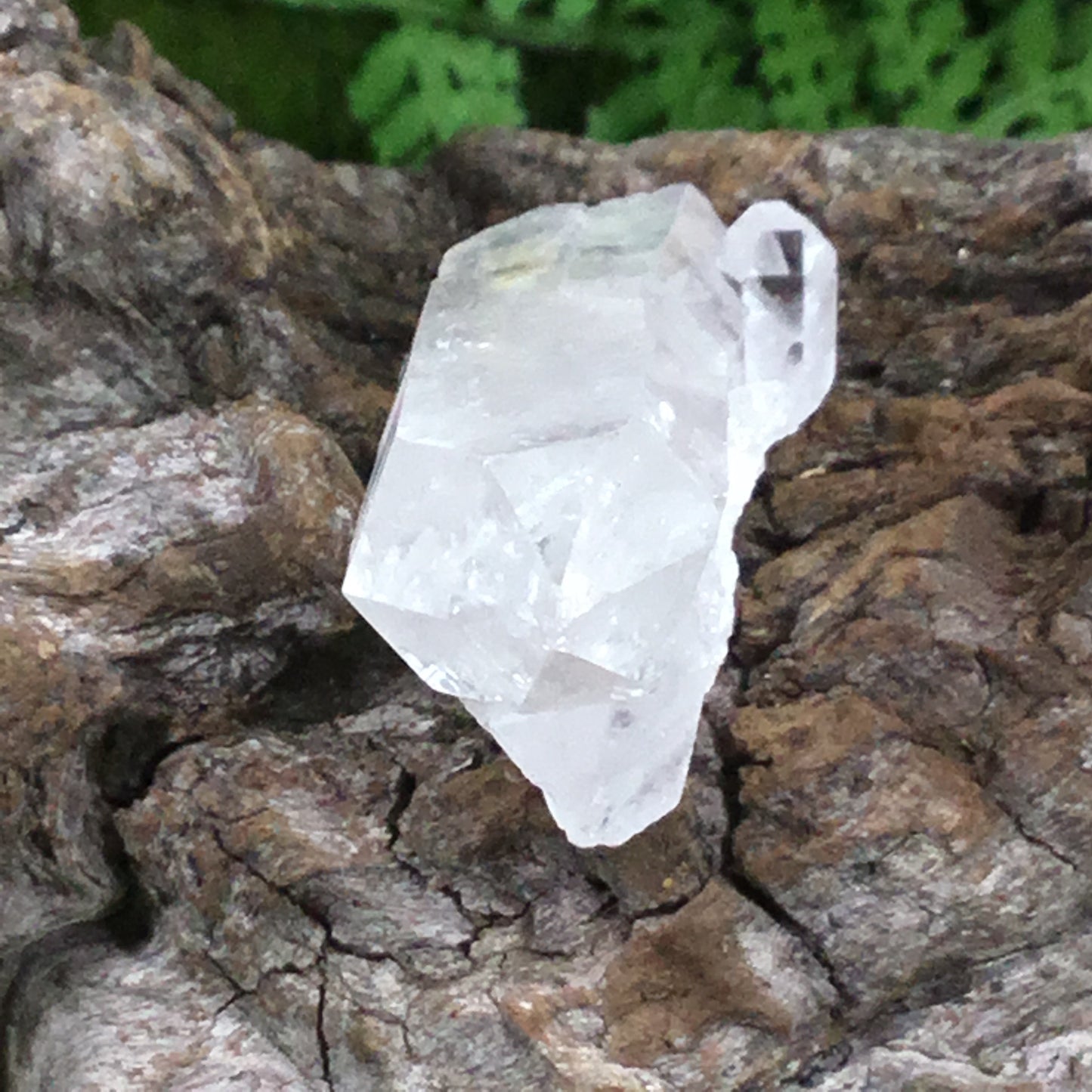 UNEARTHED TREASURE. Clear Quartz Natural Point Crystal  003