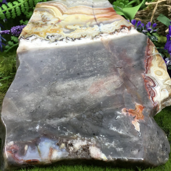 UNEARTHED TREASURE- Mexican Crazy lace Agate Altar Slice