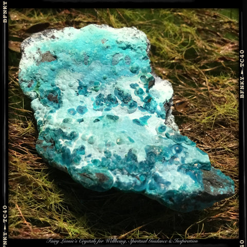 UNEARTHED TREASURE Raw Natural Chrysocolla