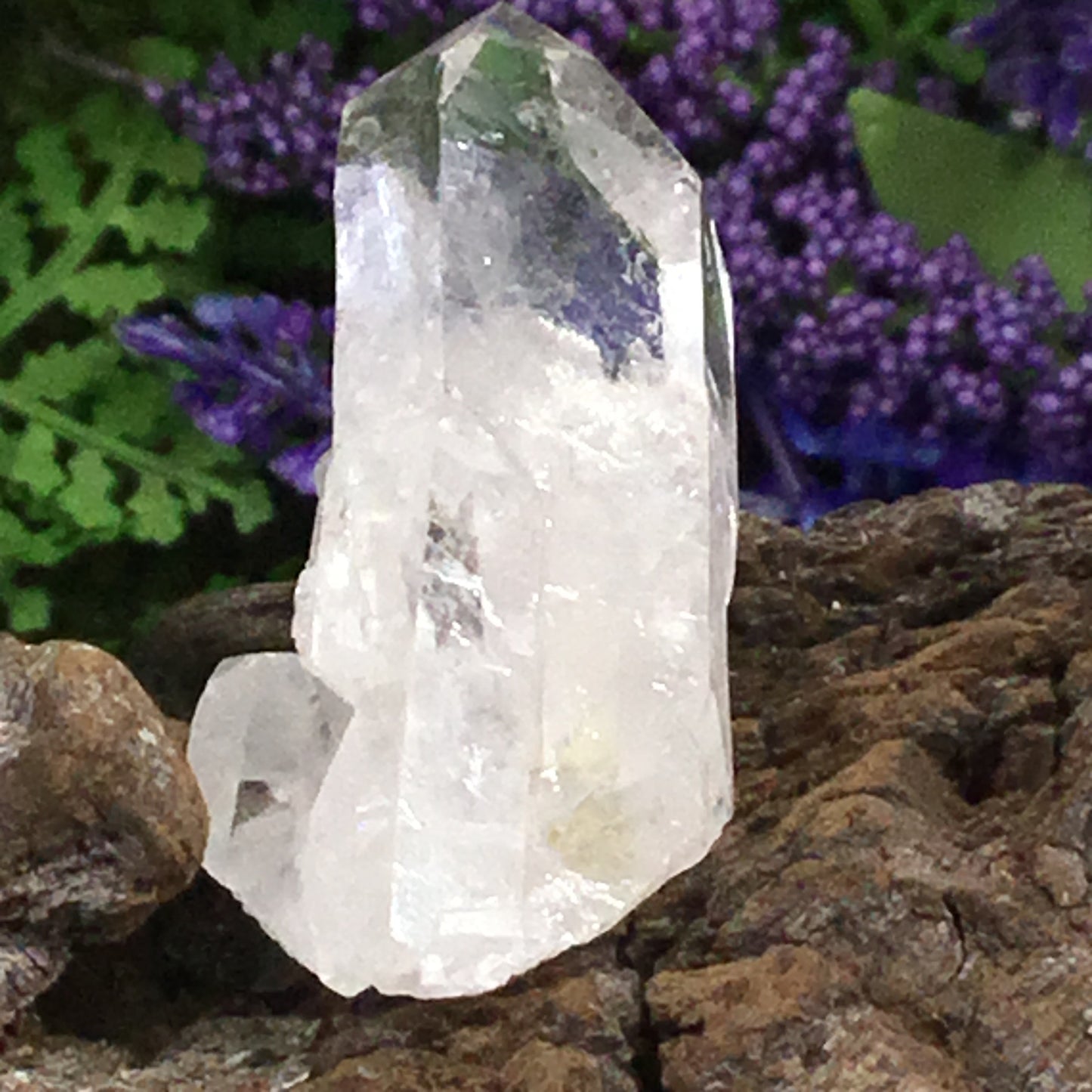 UNEARTHED TREASURE. Clear Quartz Natural Point Crystal  003