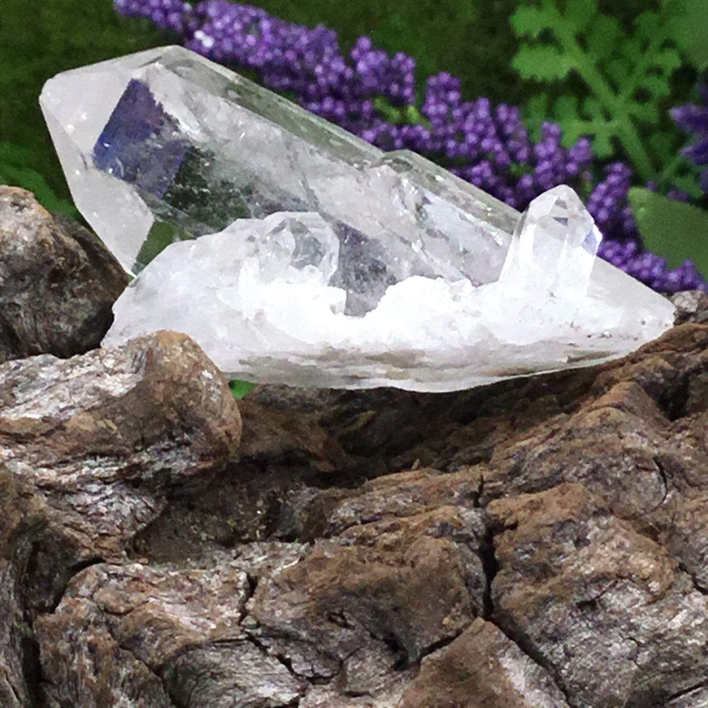 UNEARTHED TREASURE. Clear Quartz Natural Point Crystal  003