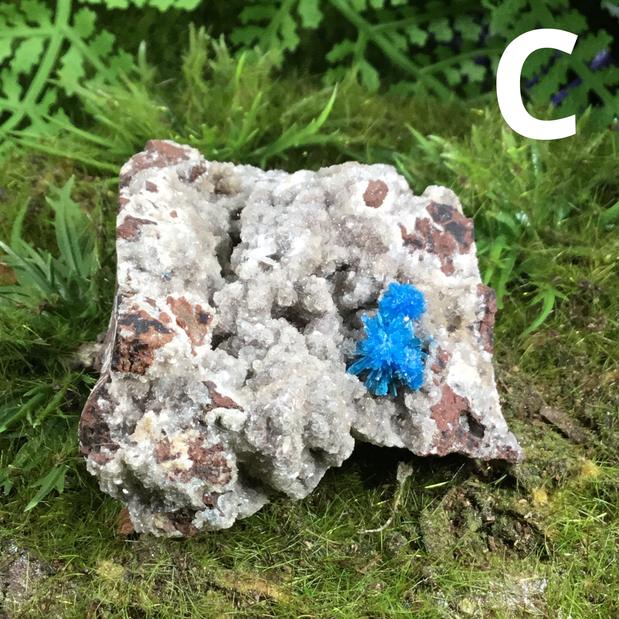 canvansite on matrix specimen C
